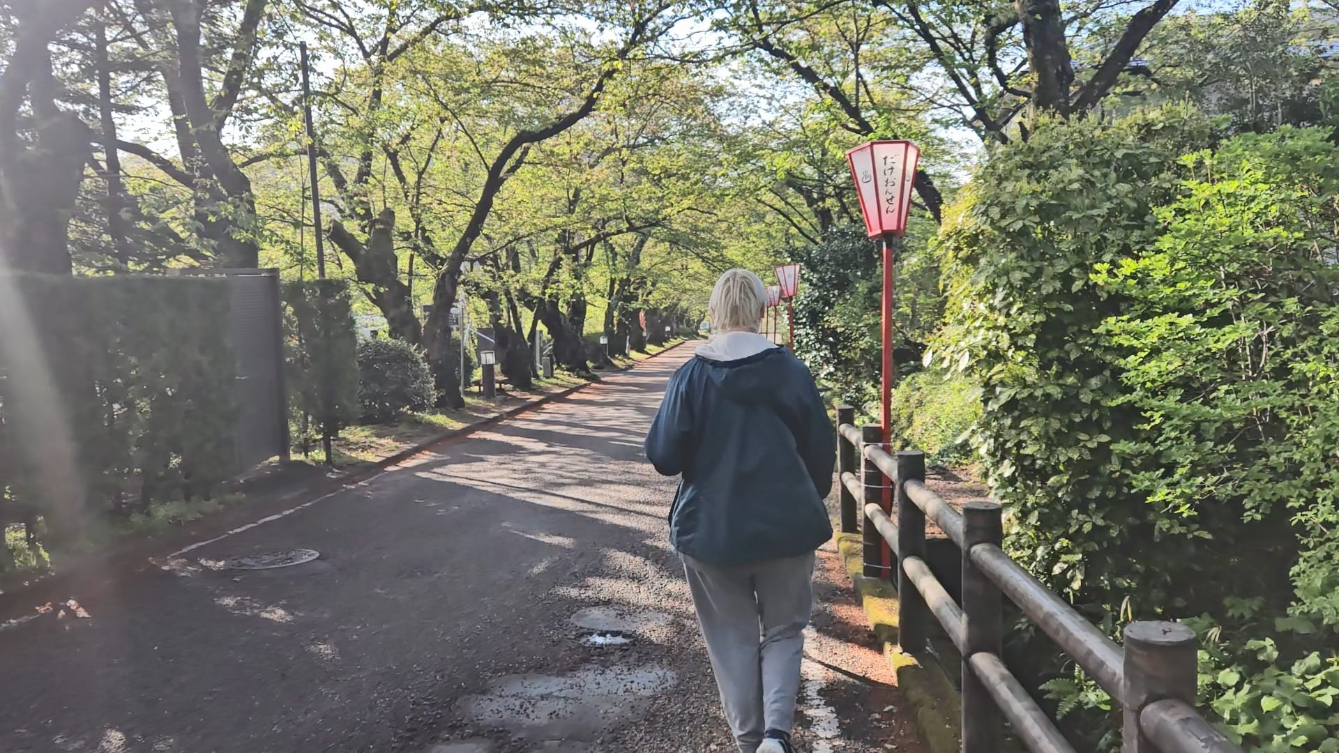 Amanda walking down a street lined with arches of Sakura trees, just past bloom.