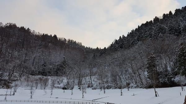 Snowy landscape surrounding Maizuru Park in Tendo, Yamagata Prefecture