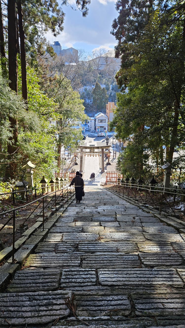 The view from on top of Shiogama Shrine's 200 steps